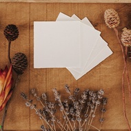 4Pcs Flower Press Boards Plant Specimen Pressing Boards Paperboard Dried Flower Pressing Boards