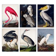 Vintage Bird Canvas Print Audubon Bird Posters Pink Flamingo Snowy Owl Pelican Blue Heron White Egre
