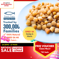 Ocean Papa HK Dried Scallop/ Scallop Kering 100g