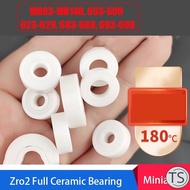 TS Miniature Zirconia Full Ceramic Bearing Corrosion Resistant Bearings MR63-MR148, 603-609,623-629,