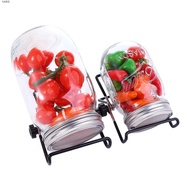 YARIS Sprouter Fresh Stainless Steel with Stand Organic Mason Jars