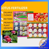 THAILAND FERTILIZER FOR LOTUS & WATER LILY ( 12 TABLETS ) BAJA TUMBUHAN AIR N-P-K 9-23-20