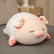 Toy Piggy Piggy Plush Plush