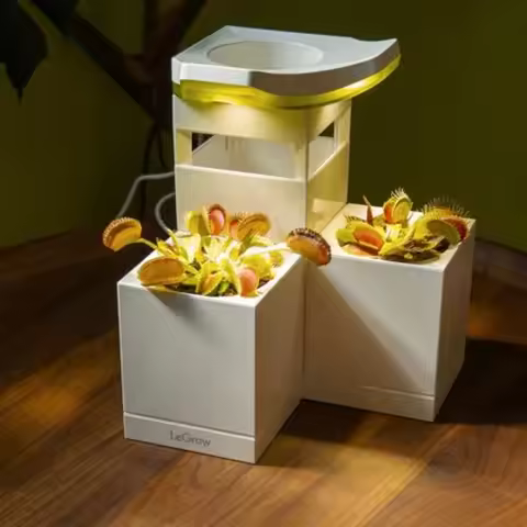 Venus Fly Trap Pot, 50000lux Grow Light with Timer, 7 Days Watering Free, Indoor Planter with Draina