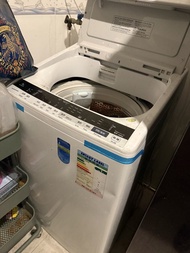 Hitachi 日立 BW-V80FSP 8kg 洗衣機
