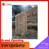 Uland ฟางข้าว ฟางอัดก้อน 9 กิโลกรัม สำหรับนั่งเล่น ฟางแห้ง ฟางคุณภาพดี เพาะเห็ด อาหารสัตว์ คลุมพืช คลุมหน้าดิน ฟางข้าวคุณภาพดี