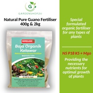 Natural Pure Guano Fertiliser| Organic Guano Fertiliser| Baja Tahi Kelawar Organik| Baja Gemuk Tanam