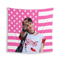 Hyunjin Pink American Flag Tapestry: skz Concert Banner