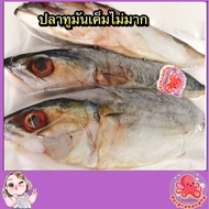 ปลาทูมัน🐟ปลาทูมันเค็มกำลังดี🐟รสชาติเค็มกำลังดี ปลาทูมันสดใหม่จากระยองแนะนำเลยค่ะ มี 2 ขนาดให้เลือก 2ตัว🐟และ3ตัวครึ่งกิโล