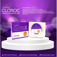 Cloroc Skincare SCAR Soaps by DSV