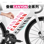 Cany canyon Silkworm Chrysalis Mountain Bike Road Bike Bicycle Frame Sticker Sticker Decal Cover Ori