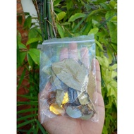 Feng Shui Citrine Crystal Pouch(w/ Magnet, 3Coins, Libyan Natural Stones and Laurel)