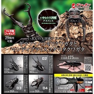 Gashapon Beetle Extra Large Pliers Bandai Premium Big Size Kuwaita Stag Action Vol.01 Animal Model