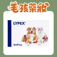 Lypex 犬貓用多酶素膠囊胰臟補充劑 60粒【最佳使用日期: 01/2028】