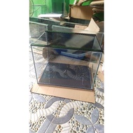 Aquarium 40X30X30 Aquarium Channa Plain Glass Aquarium Channa Aquarium