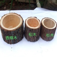 Flower Pot Log Solid Wood Succulent Plant Pot Special Green Plant Flower Pot for Dendrobium