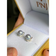 7mm saltwater akoya pearl earrings with silver handle.