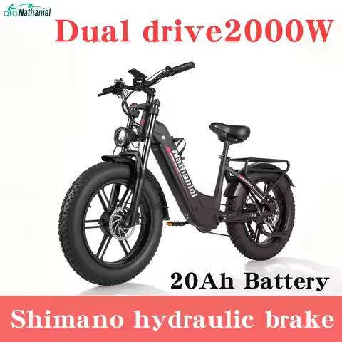 Nathaniel SYR08 2000W Dual Motor E-Bike,20*4.0 Fat Tire,20AH Detachable battery,Speed 50+,Daily comm
