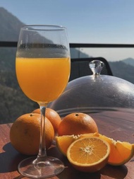 Avatara - Mahavatar Babaji Cave