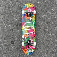 SANTAI "Nature" Complete Skateboard 8.0