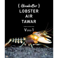 Akuakultur Lobster Air Tawar V1 [ E- Book ]