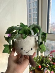 紫鑽🌟誠信商家🌟💜全新Jellycat 常春藤常青藤藤蔓盆栽毛絨玩偶公仔 送女友