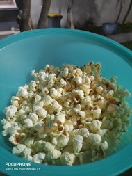 Jagung Kering Popcorn Import 1kg