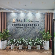 Decorative Stone Marble Stone Interior and Exterior Wall Background Wall Natural Flexible Rock Slab 
