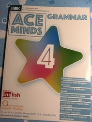 Ace Minds Grammar 4 Textbook