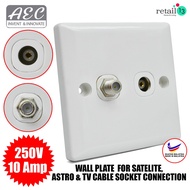 AEC DUPLEX PORT SWITCHES SOCKET WALL PLATE MOUNT F TYPE AND RCA COAX CABLE JACK FOR ASTRO SATELLITE 