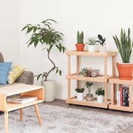 旭川工藝 cosine Plant 層架