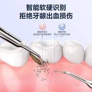 Dental Calculus Visual Sonic High-Definition Cleaning Tartar VTT Household Dental Scaler Dental Scal