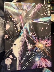 METAL BUILD Strike Freedom 連光翼，Destiny 連光翼