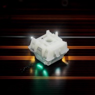 [OriginalGrass] Wooting60HE Stock Lekker Hall Effect Switch 60g Linear HE Keyboard Gaming Mechanical