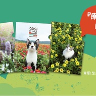 [Taipei City Stray Cat Protection Association] < God Costco Peanuts > Single-Layer L Clip Three Styl