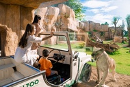 Bali Zoo Ticket