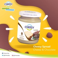 Cheesy Spread Cheese and Chocolate 240gr