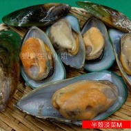 【海鮮7-11】  半殼淡菜-紐西蘭 M 800克/  一包28-36粒 * 肉質飽滿、色澤鮮亮  **每盒320元**