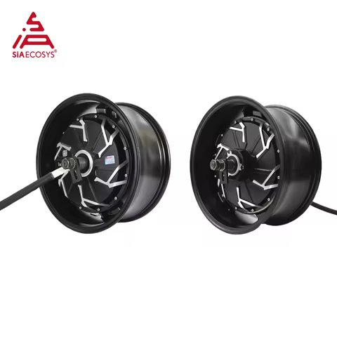QS Motor 14x6.0inch 2000W/3000W/5000W 260 35-45H V4 High Power BLDC Motor In-wheel Hub Motor for Ele