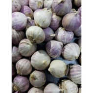 1000gram bawang putih tunggal Garlic