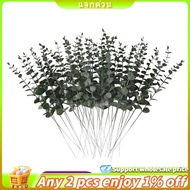 Eucalyptus Stems Artificial Eucalyptus Leaf Stems True Gray  Leaf Branches