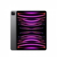 iPad Pro 12.9-inch (6th generation) 第6代 256GB WIFI 太空灰 - 有盒有配件