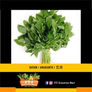 FYT GROCERIES - VEGETABLE - BAYAM/ AMARANTH/ 苋菜