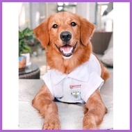 ◳ ✻ ◧ Pet dog/cat UST uniform POLO