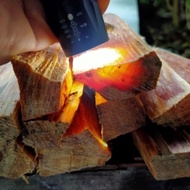 Fatwood resin Tinder Wood Premium siap pakai survival 11 batang