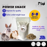 [24HR SHIP] CARINO PETS POWER SNACK 100G Rabbits Skin & Coat Supplement Angora Dwarf Rabbit Hair Fur