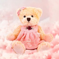 Small Teddy Bear Stuffed Animal in a Dress, Cute Soft Plush Toy, Cuddly Gift for Babies, Boys, Girls