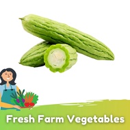 Peria BesarBitter Gourd (800g+/-)