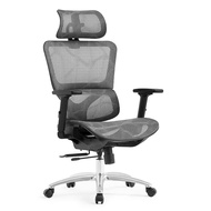诺亿莱尔（NOEL）人体工学椅电竞椅办公椅子舒适久坐撑腰电脑椅可躺双背午休转椅 灰色-整背升降-滑动座板-无脚踏