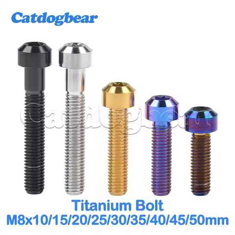 Catdogbear Titanium Bolt M8 x 10 15 20 25 30 35 40 45 50mm Torx T40 Screw for Motorcycle Car Refit
